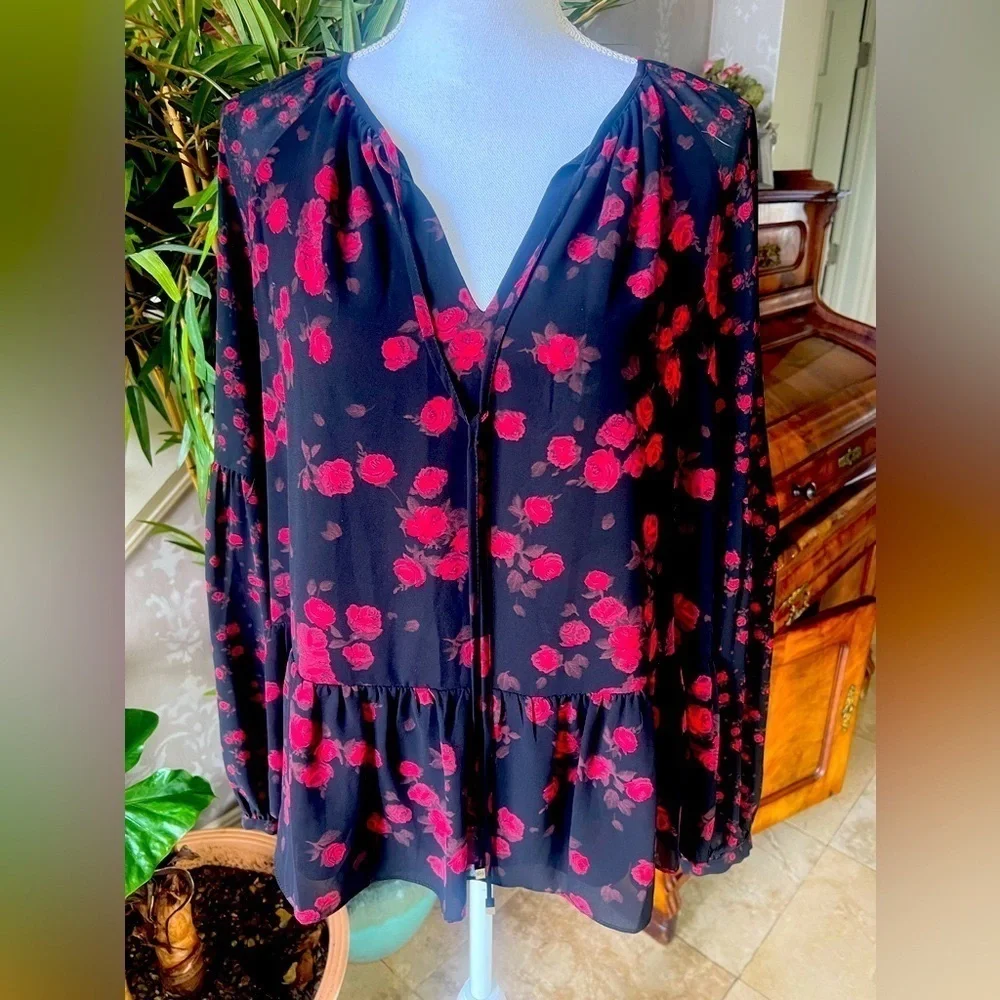 Michael Kors, ladies, long sleeve, sheer blouse, size, small excellent condition